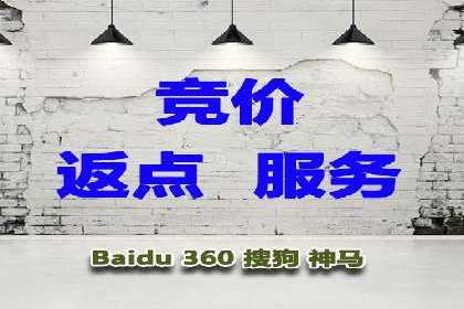 百度推广代运营案例：案例分享：打造行业领军品牌